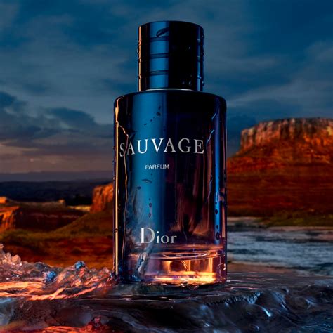 sovage dior|dior sauvage website.